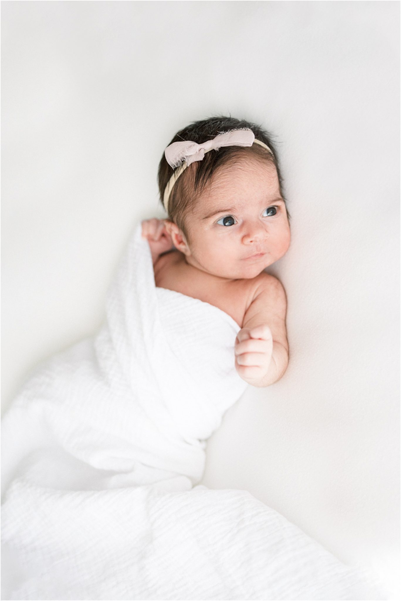 Studio newborn photos for baby girl. Photo by Lindsay Konopa Photography.