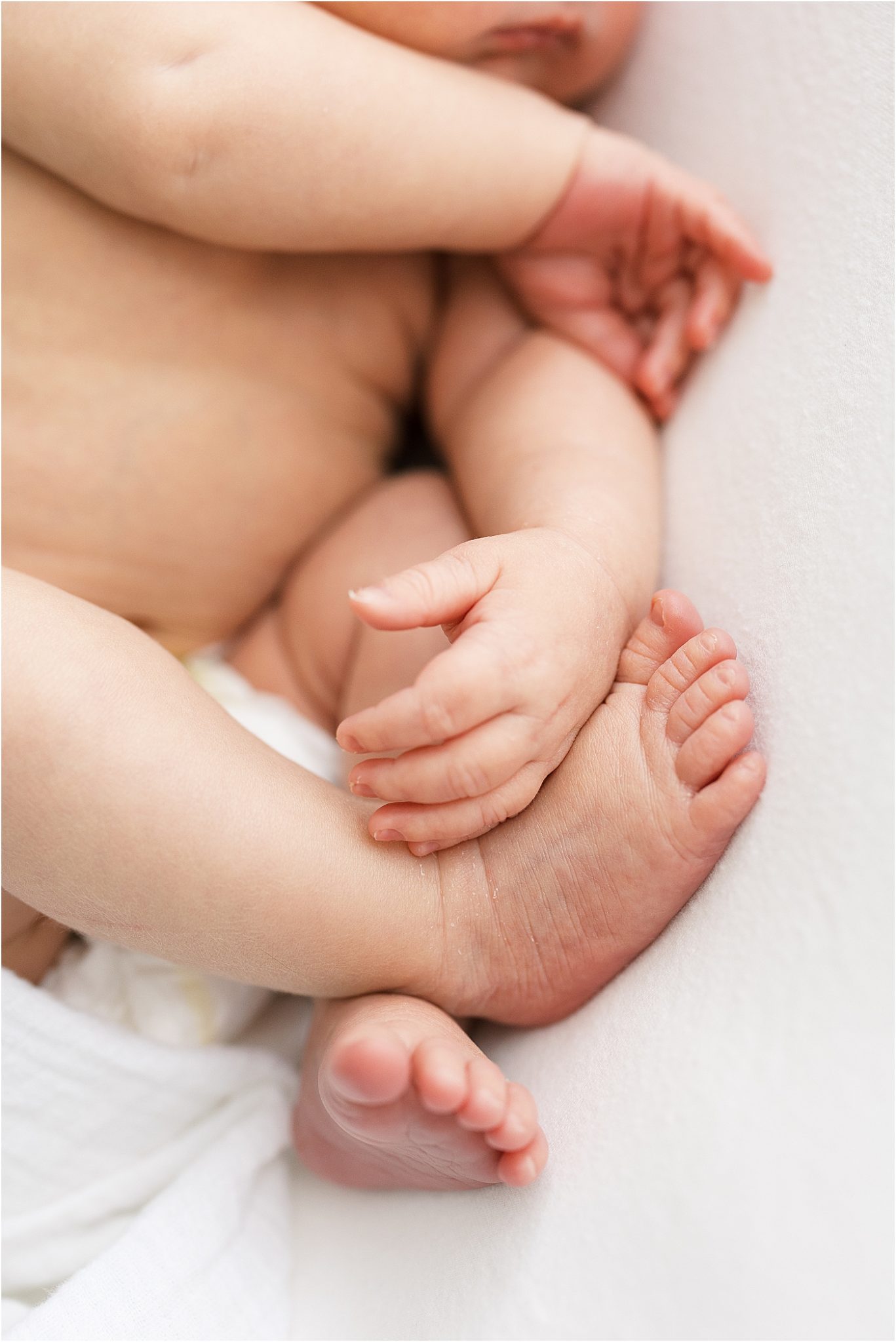 Newborn baby details. Photo by Bloomington Newborn Photographer, Lindsay Konopa Photography.