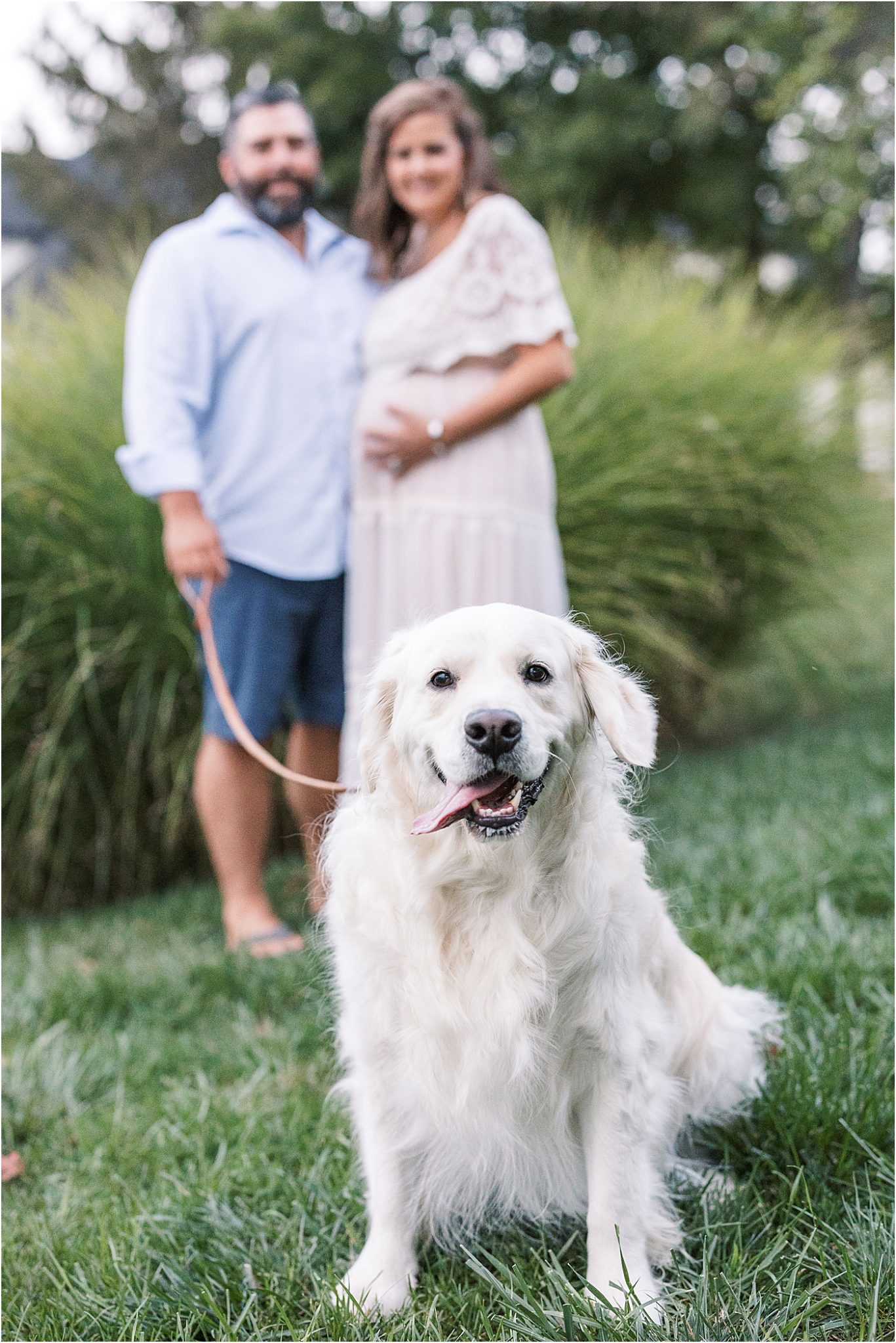 Maternity session with family dog | Lindsay Konopa Photography